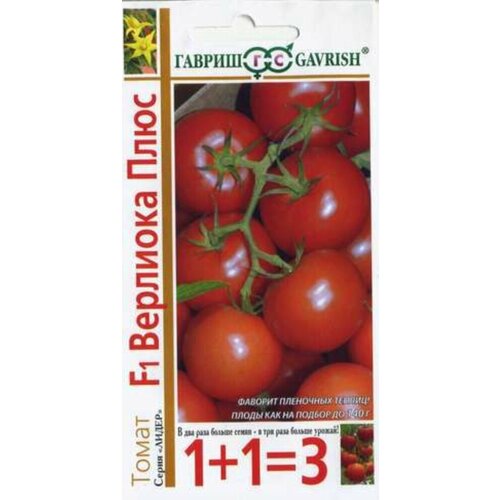 ���� ������ ����� �������� ���� F1 24�� ��� ������ (������) 1+1 ������ ������