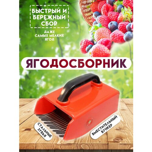 ���� ������� ������������ � �������������� �������, (������������), ������� ��� ����� ���� (Kaisa) ������ ������