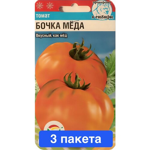 ���� ������ ������ ��������� ��� 