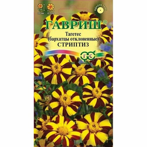 ���� ������ �������� �������� ����������, (������) 0,3� ������ ������