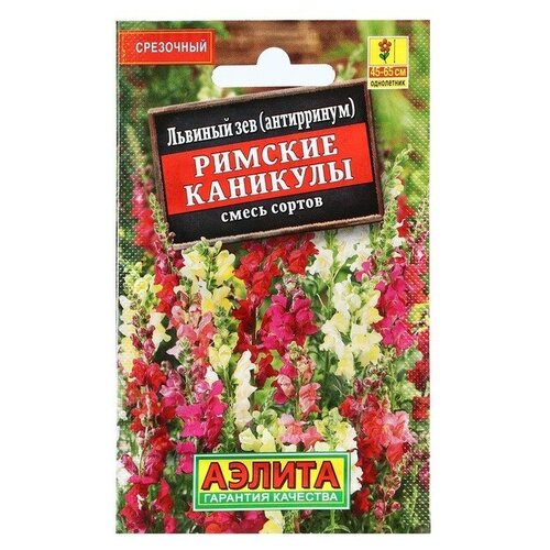 ���� ������ ������ ������� ��� 