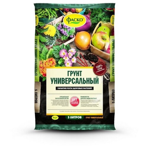 ���� ����� ������������� ����� 5� ������ ������