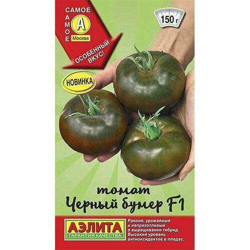 ���� ������ ����� ������ ����� F1, ������������, �����������, (������) 15�� ������ ������