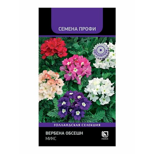 ���� ������ ������� ������ ���� ���������� 10 ��. ������ ������