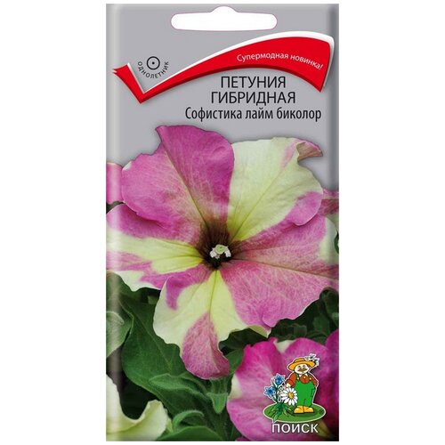 ���� ������ ����� ������� ��������� ��������� ���� �������, 5 ��. ������ ������