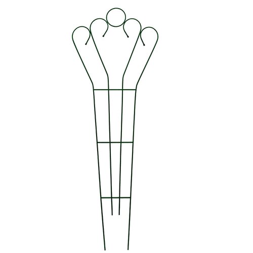 ���� �������� ������� �12 