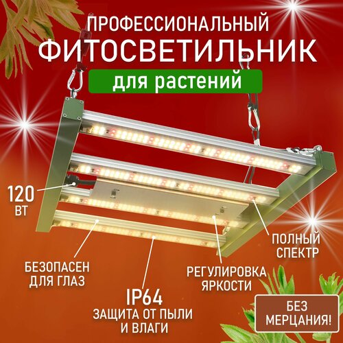 ���� ��������� ��� �������� ������ ������ �������������� ������������ ������ ������