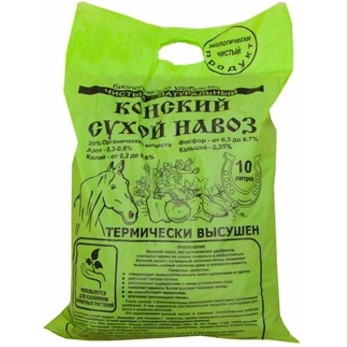 ���� ������� �����, �����, 10 �: ���������� ���������� ����������� �����, ������� � �����, �������� ������� ���������� �������������� ������ ������