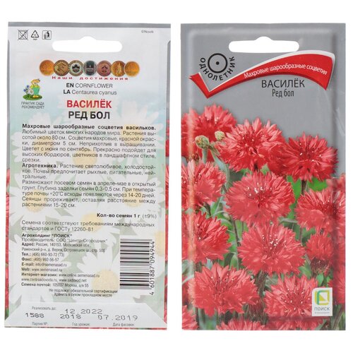 ���� ������ �������, ��� ���, 1 �, ������� ��������, ����� ������ ������