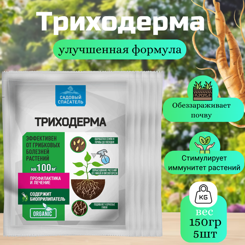 ���� ���������� 30�� / 5��. ������� ���������. ������ ������