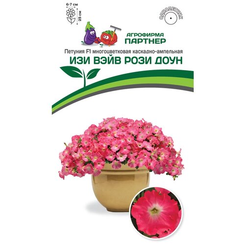 ���� ������ ������� �������������� ��������-��������� 