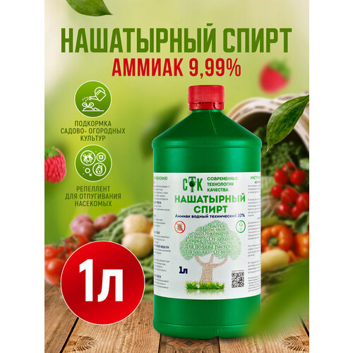 ���� ���������� ����� 1�, ������ ������ 9,99% ������ ������