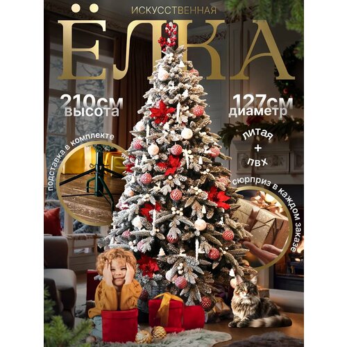 ���� ������������� ���� 210 �� ����������� ����� + ��� ������ ������