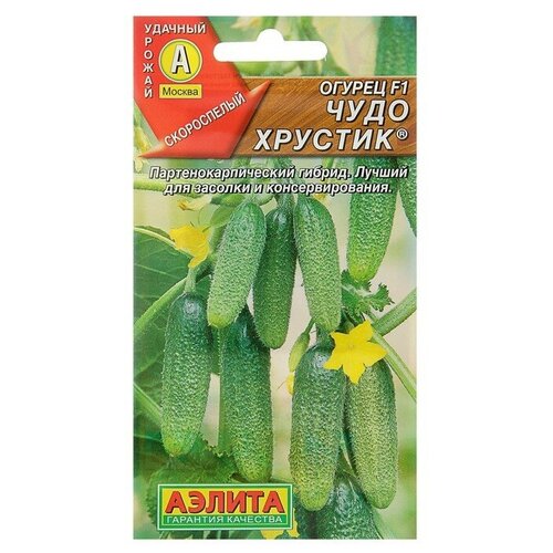 ���� ������ ������ 