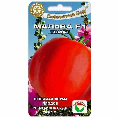 ���� ������ ����� ������ F1, ������������, �����������, (��������� ���) 15�� ������ ������