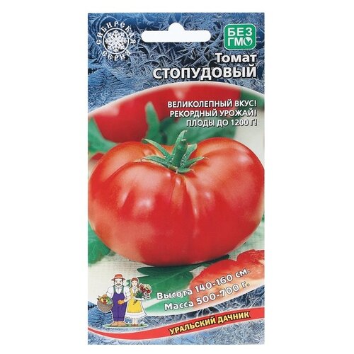 ���� ������ ��������� ������ ����� ���������� ������ ������