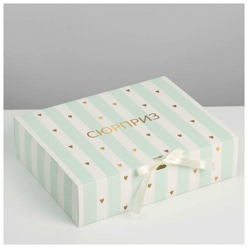 ���� ������� ����������, ��������, ��������, 31 � 24.5 � 8 ��, ��� ����� ������ ������