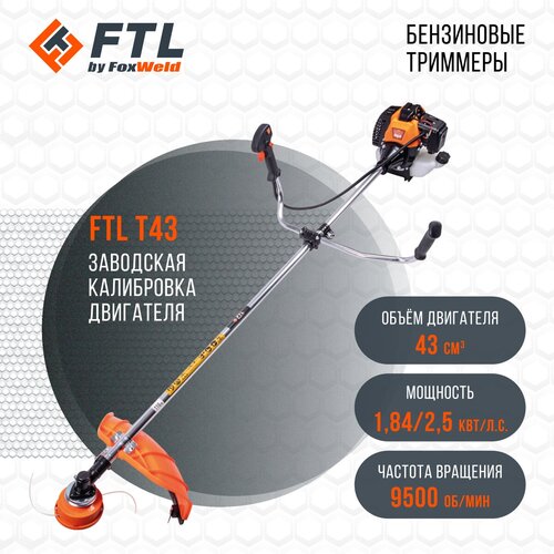   FTL T 43,  STD /     FTL T 43  (7947)   -     , -, 