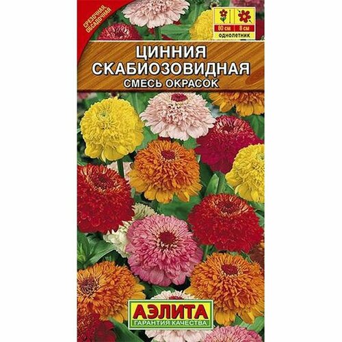 ���� ������ ������ ��������������, �����, ����������, (������) 0,3� ������ ������