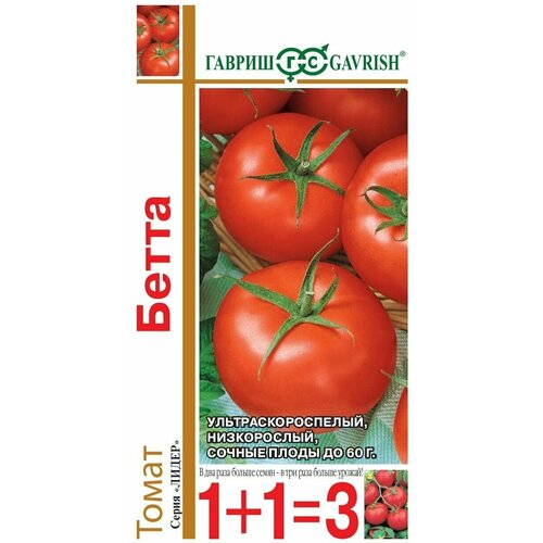 ���� ������ ����� 