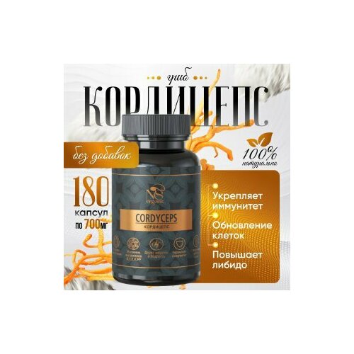 ���� ��������� � �������� �� 700 ��, ��������� 180 ��. ������ ������