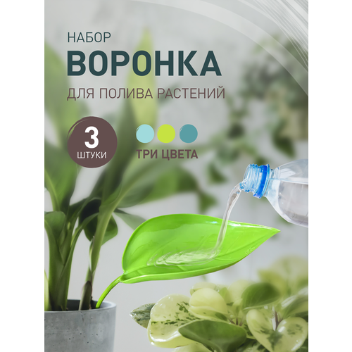 ���� ��������� ����� iulkapu ��� ��������� ��������, 3 �� ������ ������