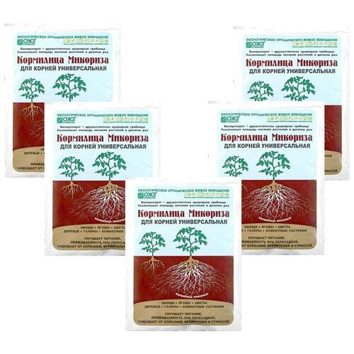 ���� ��������� ��� ������ ��� ��������� �������� ���������� �� 5 ������ (5 ������� �� 30�) ������ ������