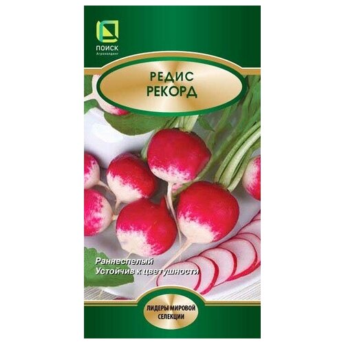 ���� ����� ������ ������ ������