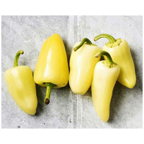    Santa Fe Grande (. Capsicum frutescens Santa Fe Grande)  5   -     , -, 