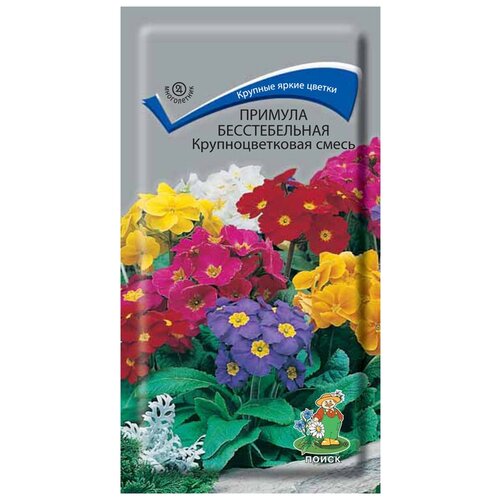 ���� ������� ������������� ��������������� ����� ������ ������