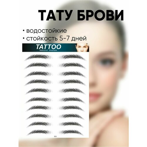 ���� ����� �������� ��� ������ ���� ���������, ���������� �����, ����� �5 ������ ������