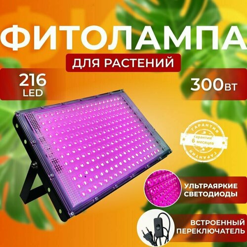 ���� ��������� ��� ����������� �������� ������� ������ ������ �������������� ������������ ����� ��������� ��� ������, � �������� ������ ������