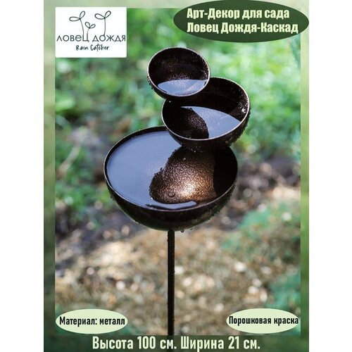 ���� ������ ������� �������������, ���-����� ����� ����� 