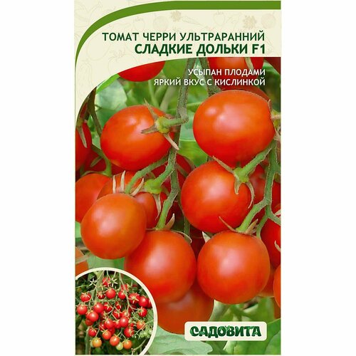 ���� ������ ������ �������� 