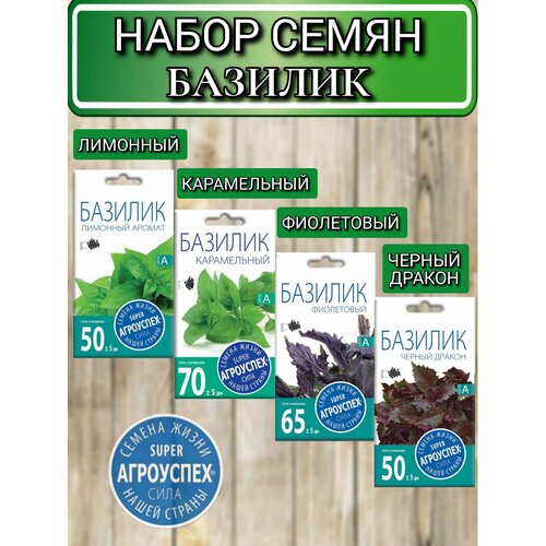 ���� ������ ������ ��������� �������: �����������, ����������, ������ ������, �������� ������ ������ ������