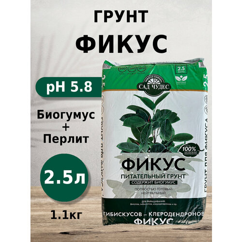 ���� ����� ��� ����� ����� 2.5� � ����������, ��������, ���������� ��� ����������, ��������������, ������� ������ ������