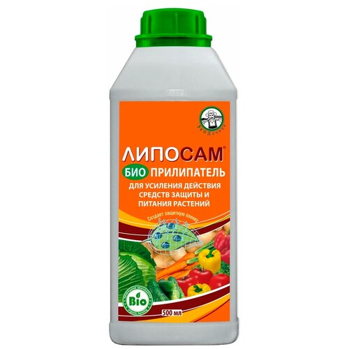 ���� ��������� ������� ��������������, 500 ��, 500 � ������ ������