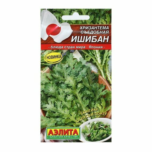 ���� ������ ���������� ��������� 