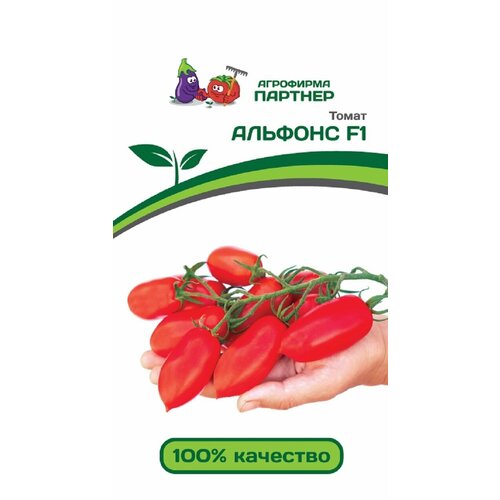 ���� ������ ������ 