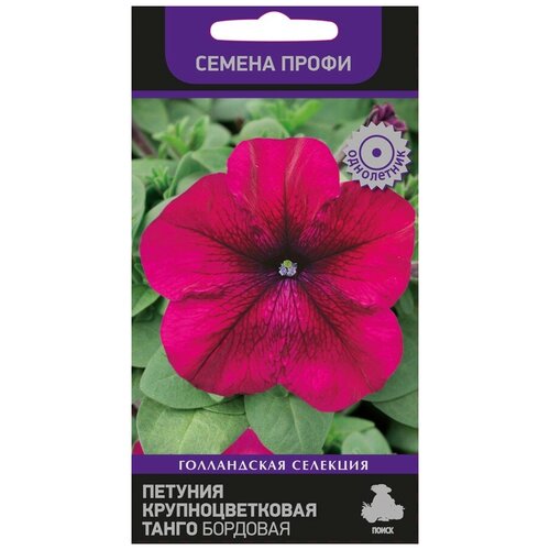 ���� ������� ��������������� ����� �������� (������ �����) (��) ������ ������