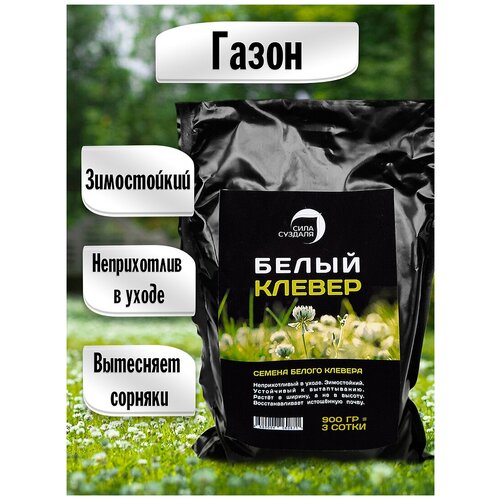 ���� ����� ������ ������ ������