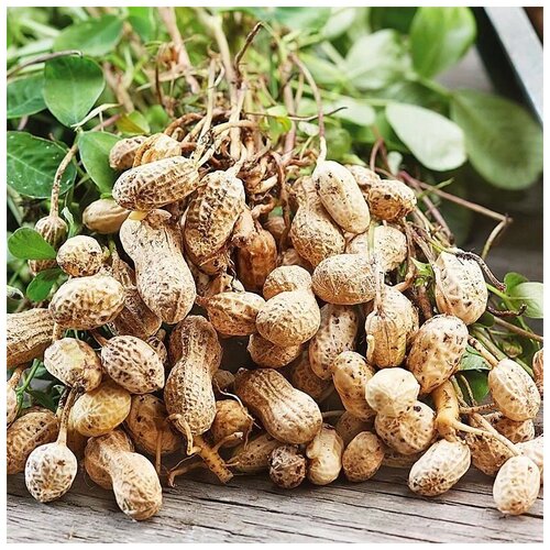 ���� ������ ������ ������ ���������� 30 ��. ������ ������