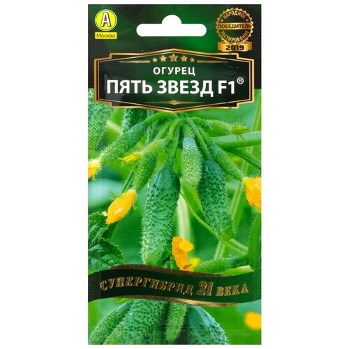 ���� ������ ������ 