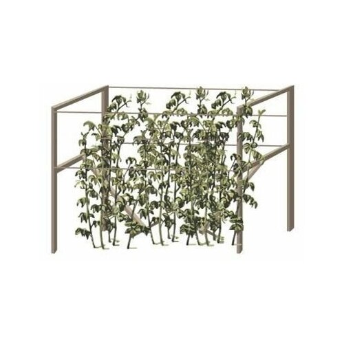 ���� ����� ��� ������ ������� ������ ������ ������