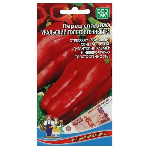 ���� ������ ����� ������� 