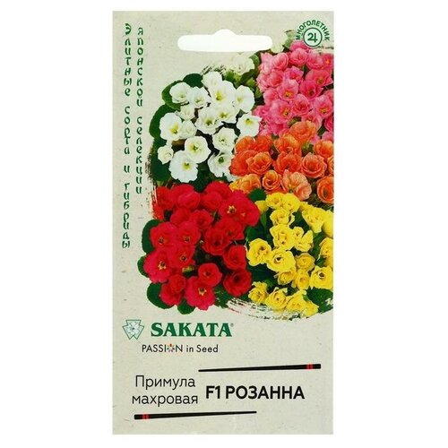 ���� ������ ������ ������� 