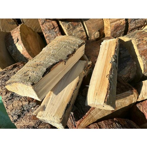 ���� ����� �������� ������������ ��������� ������� 20 �� ������ ������