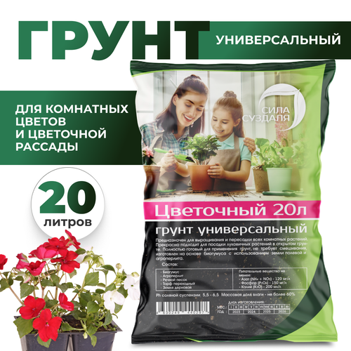 ���� ����� ��������� � ���������� ���� �������/ ����� ��� ��������� ��������, 20� ������ ������