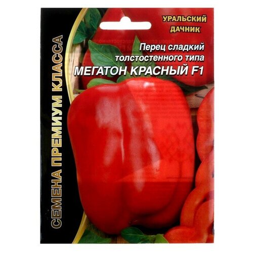 ���� ������ ����� ������� 