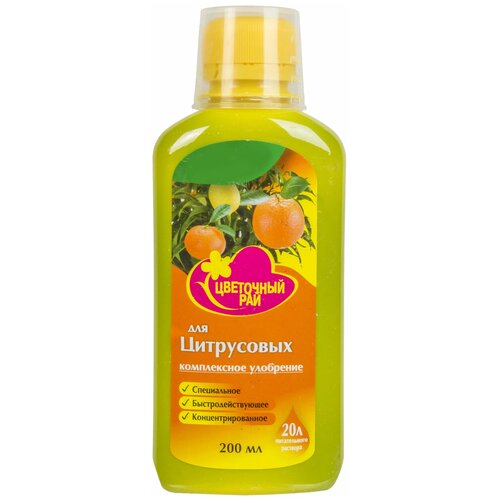 ���� ��������� ��� ����������, 0.2 �, ���������������� �������� ��������������. ������������ ��������� ����� ��������. ����������� �������� ������� � �������� ������������. ������ ������